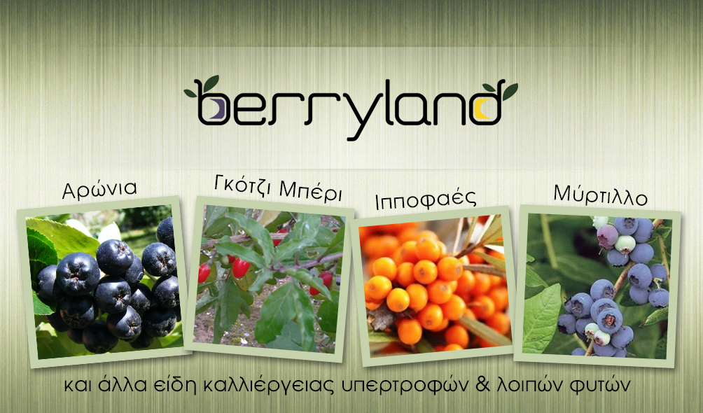 BERRYLAND