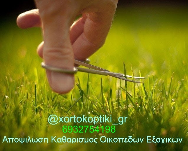 Αποψιλωση Οικοπεδων και Επαγγελματικων Χωρων