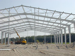 ΜΗΣΩΚΑΣ ΝΙΚΟΣ