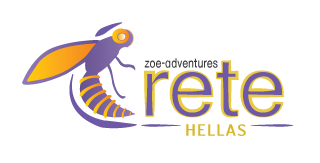 ΠΑΡΑΔΟΣΗ  ΜΑΘΗΜΑΤΩΝ ΓΑΛΛΙΚΩΝ - ΑΡΑΒΙΚΩΝ 